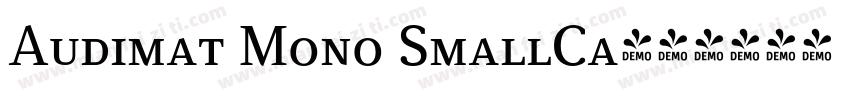 Audimat Mono SmallCa字体转换